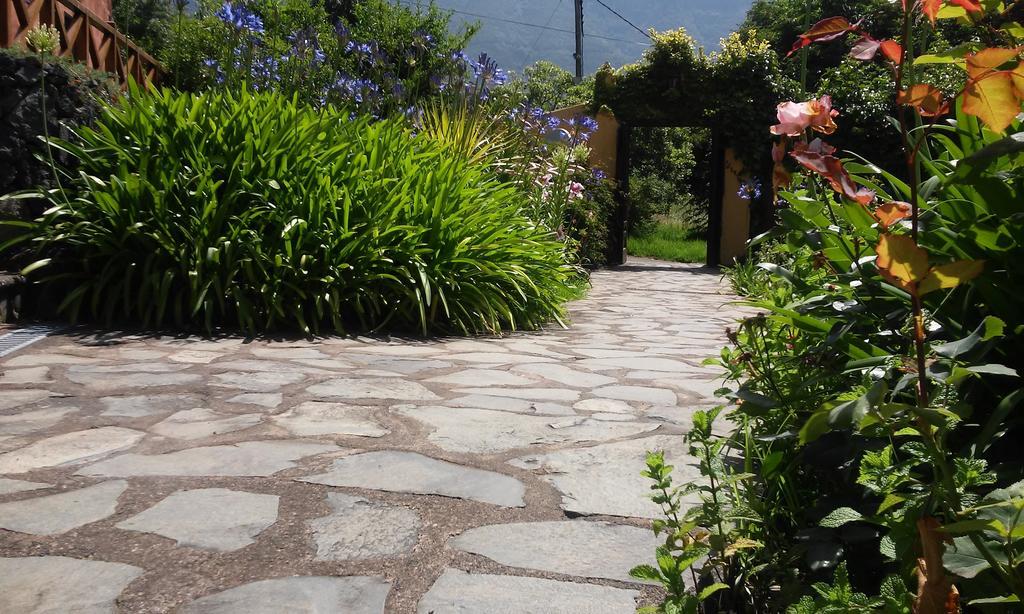 Vila Rural Las Llanadas Los Realejos Pokoj fotografie