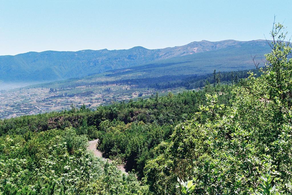 Vila Rural Las Llanadas Los Realejos Pokoj fotografie