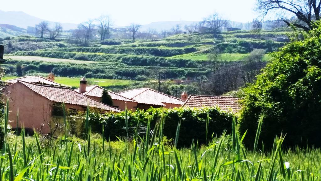 Vila Rural Las Llanadas Los Realejos Exteriér fotografie